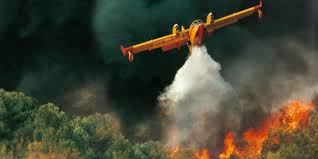 images - 2022-05-19T200432.541