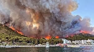 images - 2022-05-24T120933.877