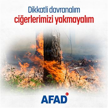 116712605_1959480880855755_6617694324480041379_n